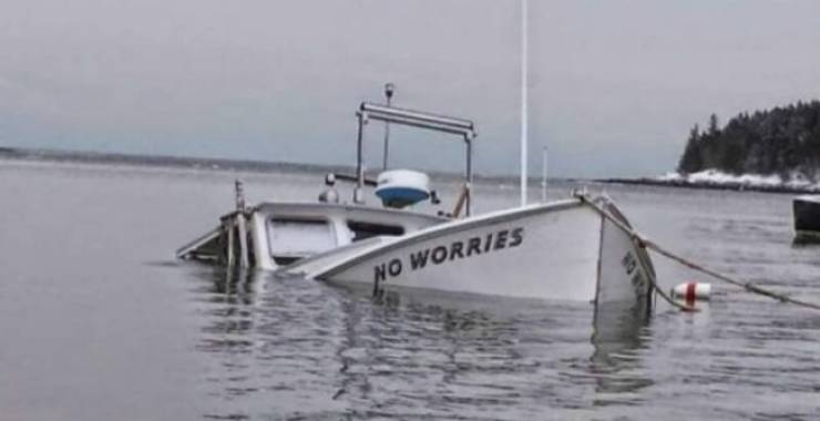Daily Picdump