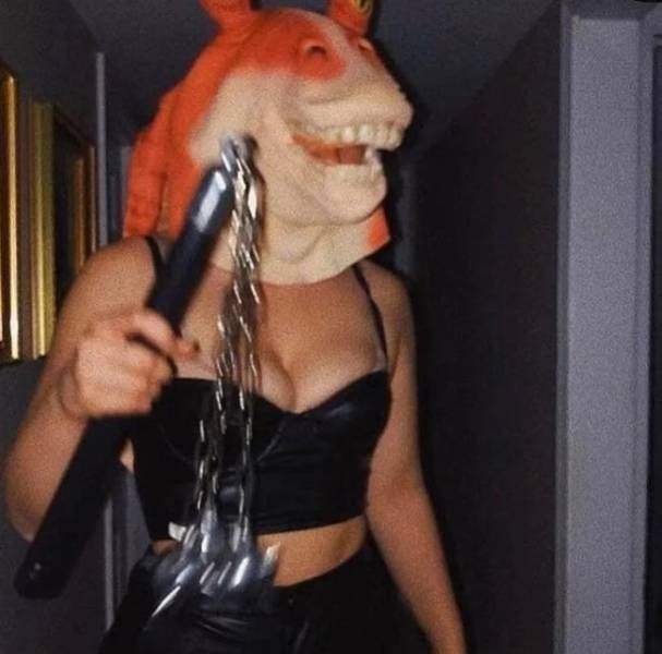 Daily Picdump