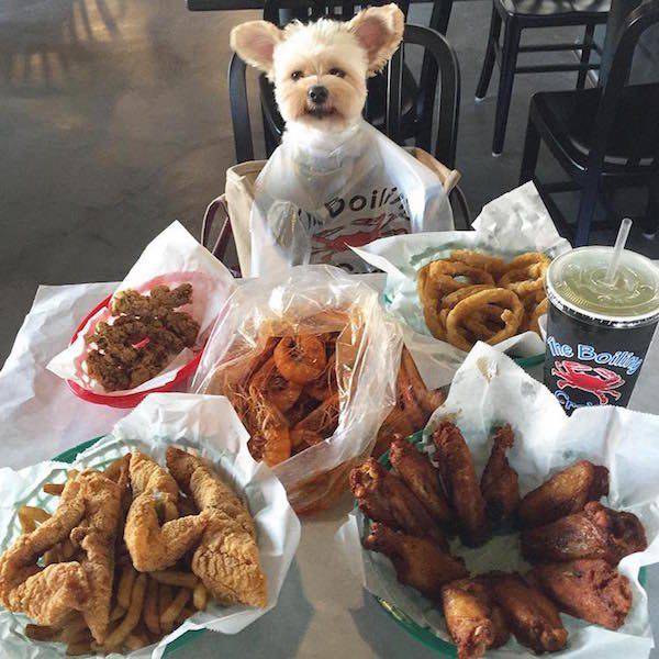 Daily Picdump [WEEKEND EDITION]