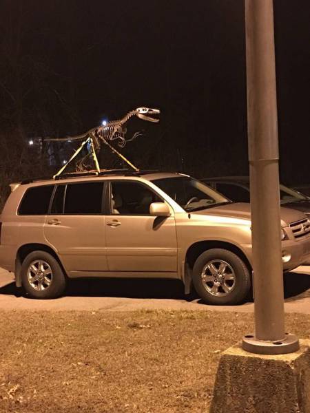 Daily Picdump [WEEKEND EDITION]