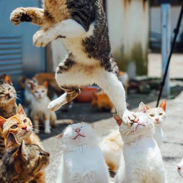 Daily Picdump [WEEKEND EDITION]