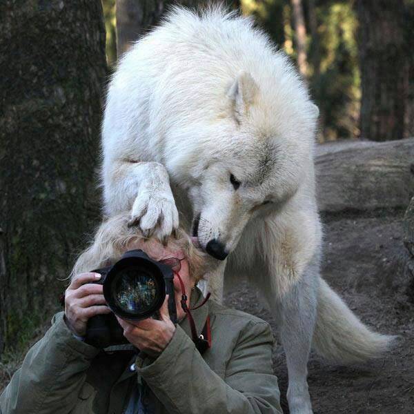Daily Picdump [WEEKEND EDITION]