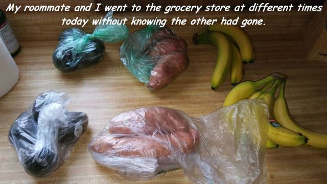 Daily Picdump