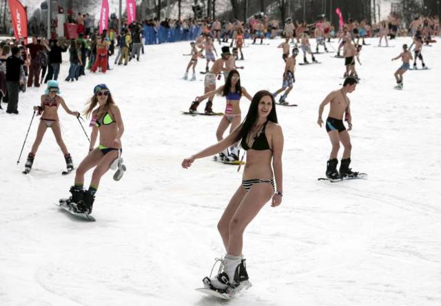 Daily Picdump