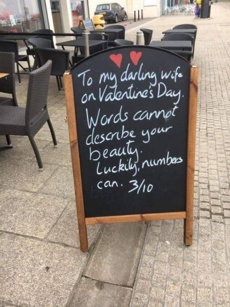 Daily Picdump