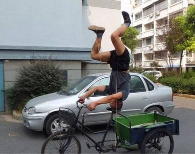 Daily Picdump