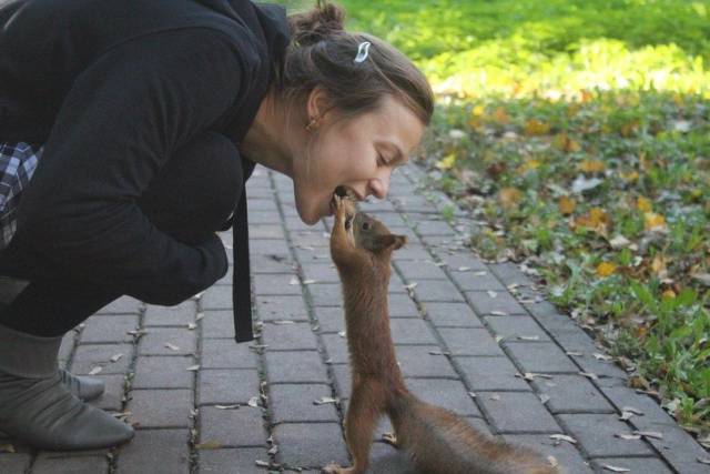 Daily Picdump