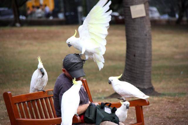 Daily Picdump