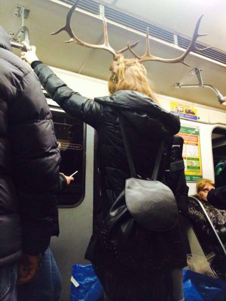 Daily Picdump