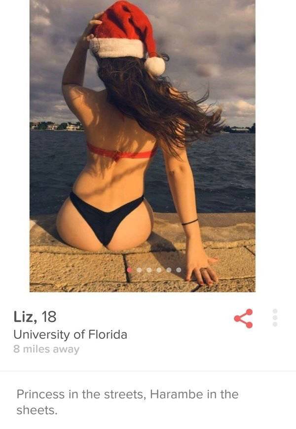Why Are These Tinder Profiles Even A Thing?!