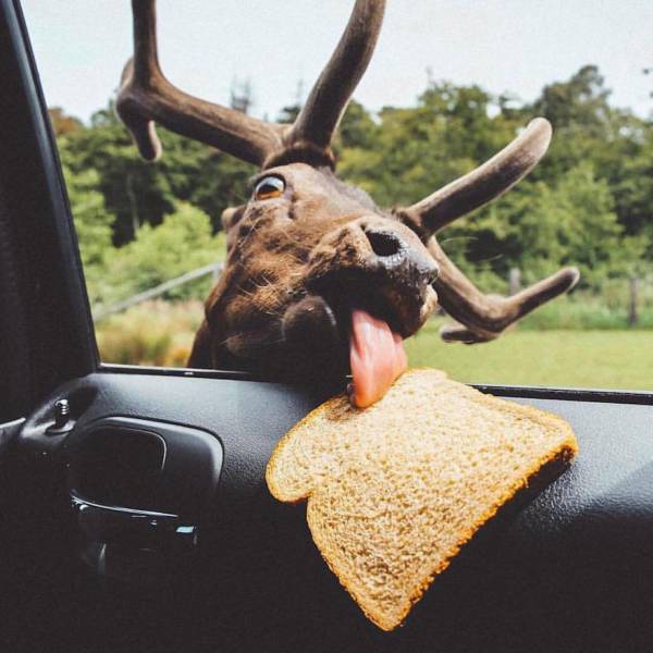 Daily Picdump [WEEKEND EDITION]