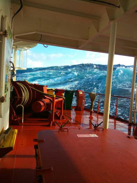 Daily Picdump [WEEKEND EDITION]