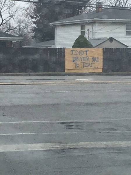 Daily Picdump [WEEKEND EDITION]