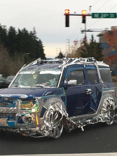 Morning Picdump