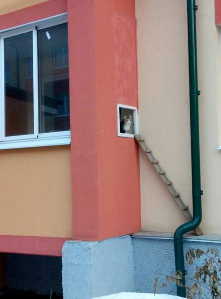 Morning Picdump