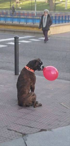 Daily Picdump