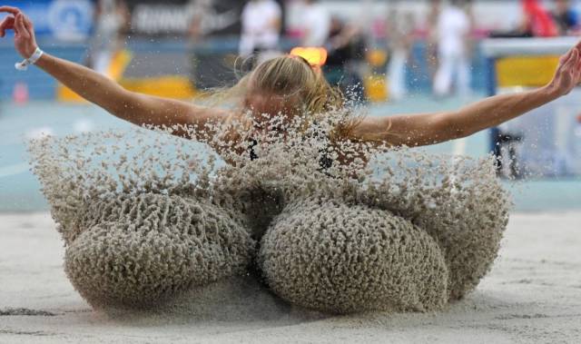 Daily Picdump