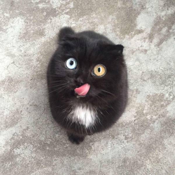 Daily Picdump