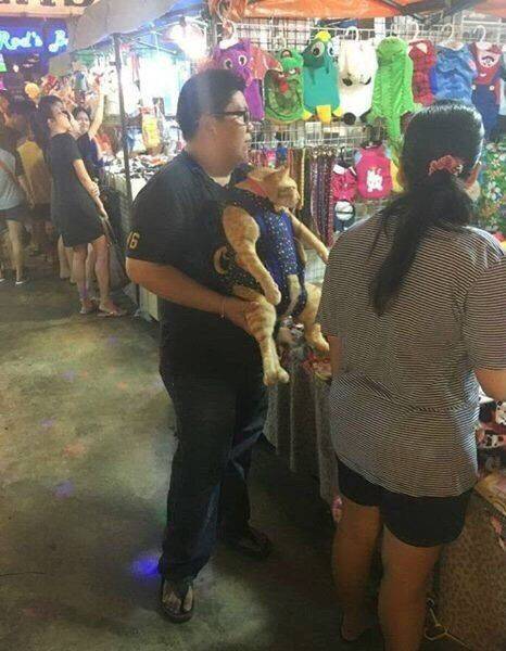 Daily Picdump