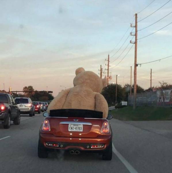Morning Picdump