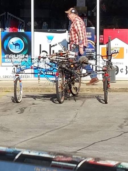Morning Picdump