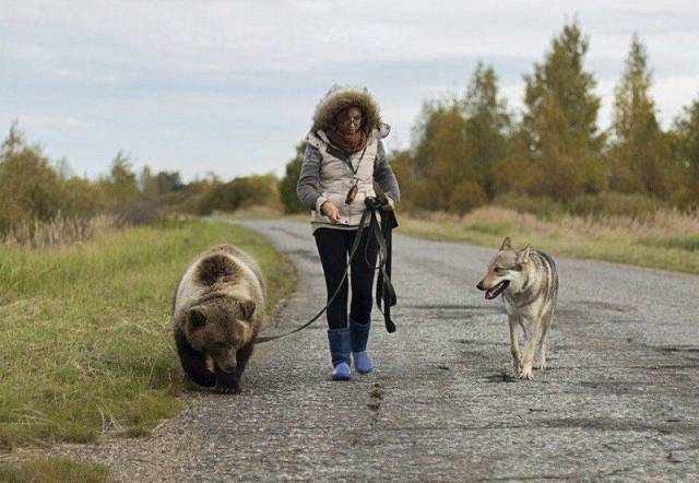 Daily Picdump