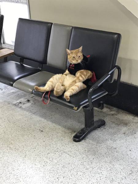 Daily Picdump