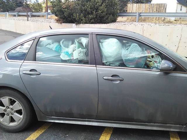 Daily Picdump
