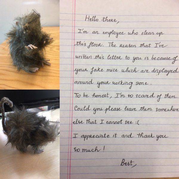 Daily Picdump