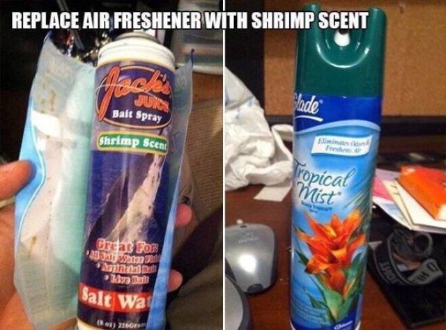 Daily Picdump