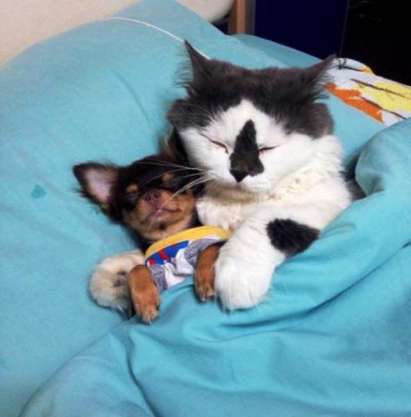 Daily Picdump