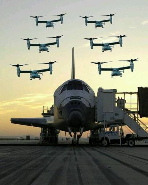 Daily Picdump