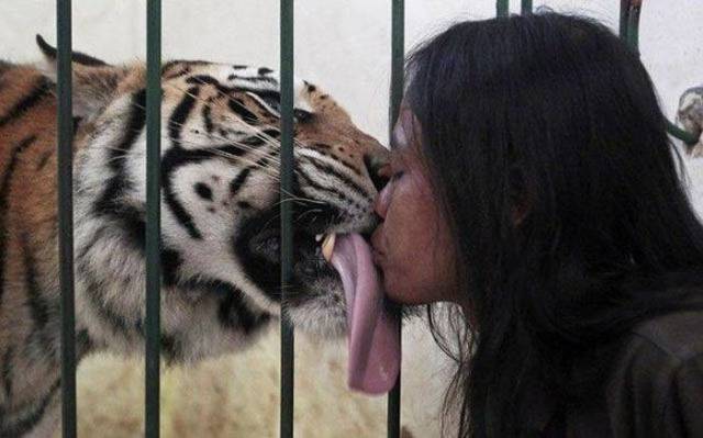 Daily Picdump