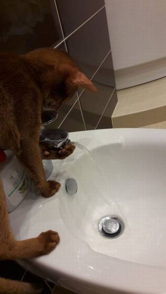 Daily Picdump