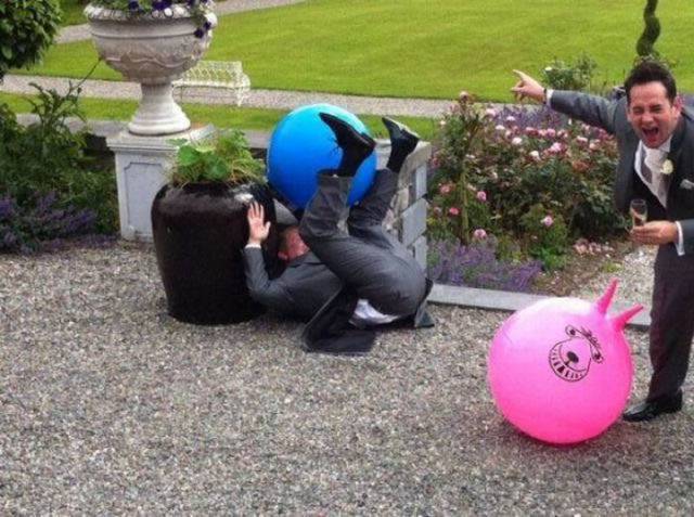 Daily Picdump