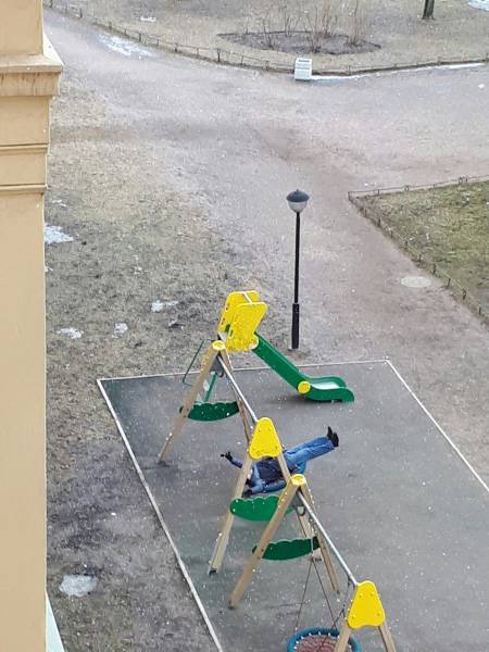 Daily Picdump