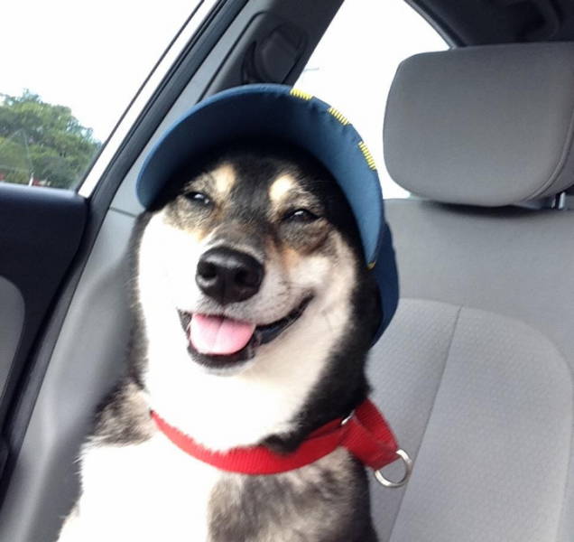 Morning Picdump