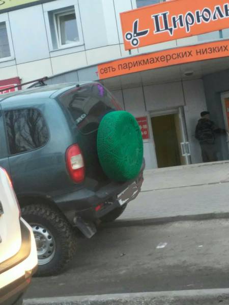 Morning Picdump