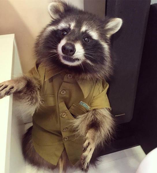 Daily Picdump