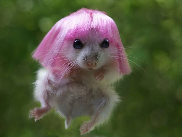 Daily Picdump