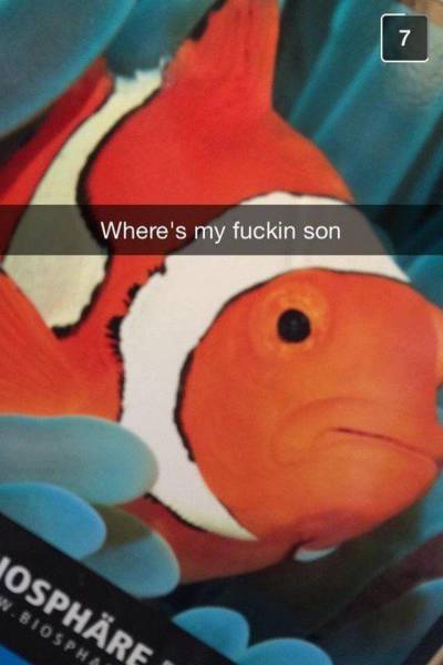 Daily Picdump
