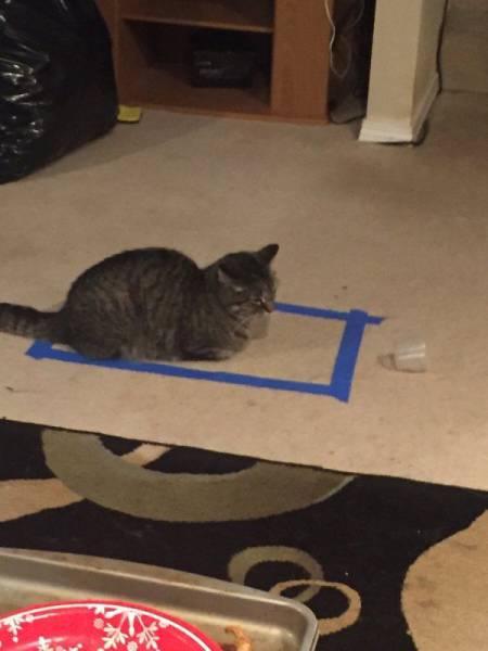 Daily Picdump