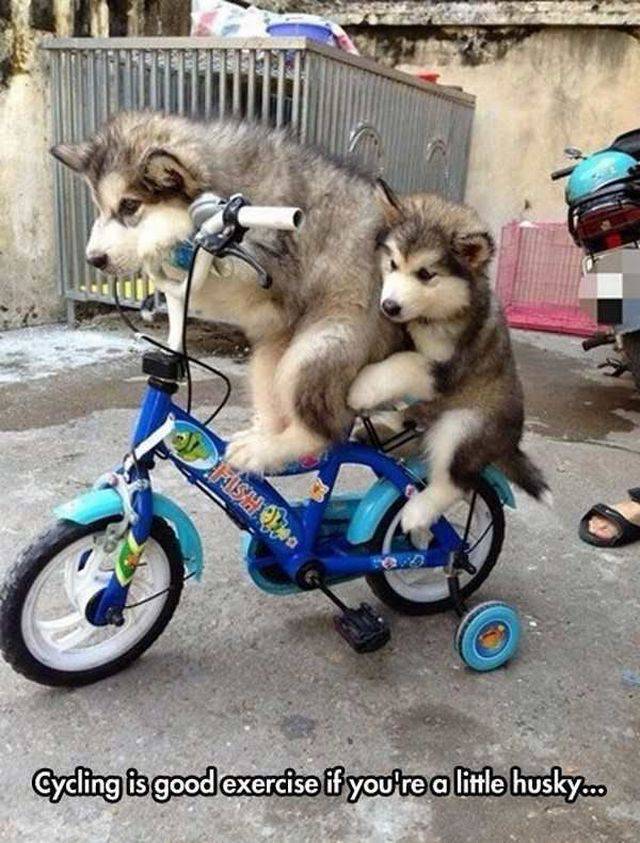 Daily Picdump