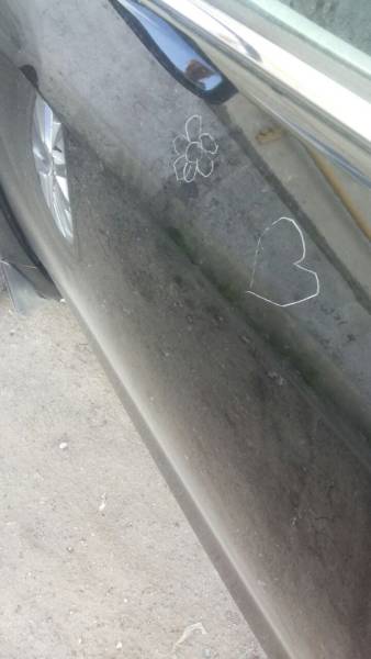 Morning Picdump