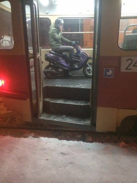 Morning Picdump