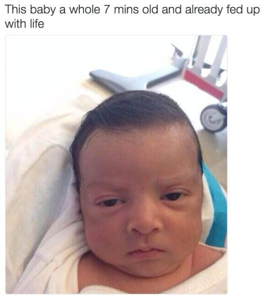 Daily Picdump