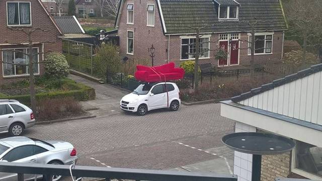 Daily Picdump