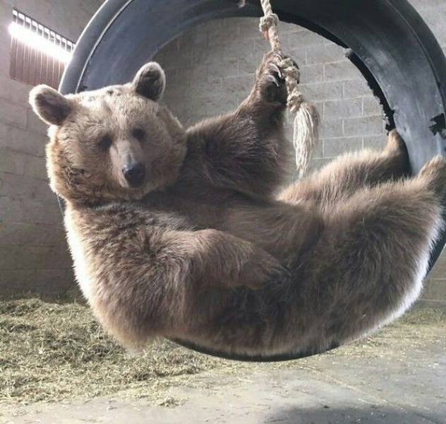 Daily Picdump