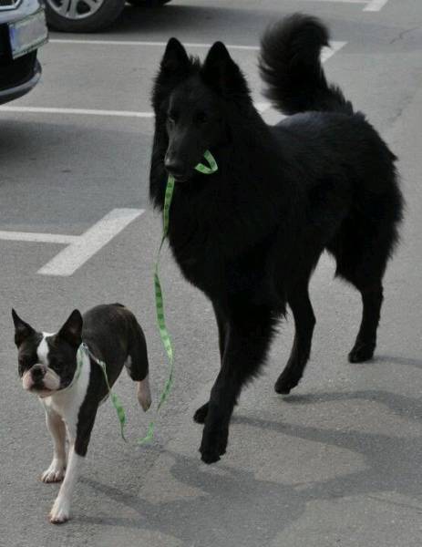 Daily Picdump