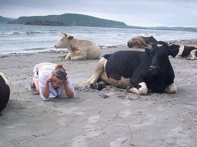 Daily Picdump